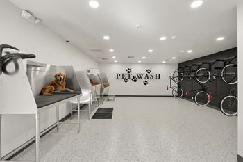 A dog grooming salon with floor and a dog sitting on a grooming table.